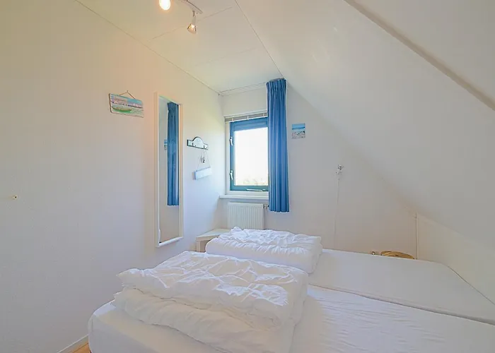 Coastal Garden Escape Near The Dunes *